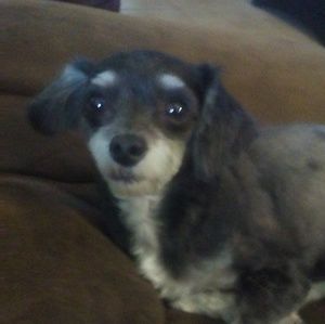 Meet your Posher, Raymond